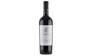 San Marzano- PRIMITIVO PUGLIA - IGP 2023