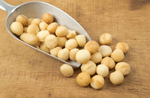 Macadamia noten gezouten